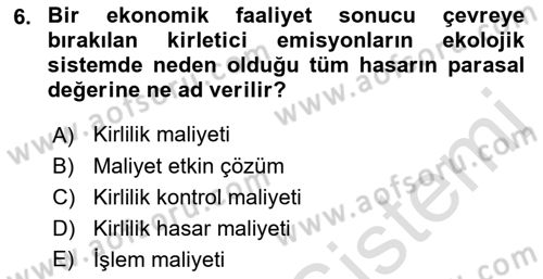 Doğal Kaynaklar ve Çevre Ekonomisi Dersi 2021 - 2022 Yılı (Final) Dönem Sonu Sınavı 6. Soru