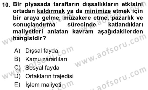 Doğal Kaynaklar ve Çevre Ekonomisi Dersi 2021 - 2022 Yılı Yaz Okulu Sınav Soruları 10. Soru