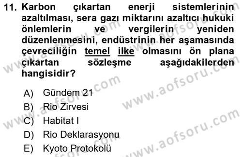 Doğal Kaynaklar ve Çevre Ekonomisi Dersi Yaz Okulu Sınavı Deneme Sınav Soruları 11. Soru
