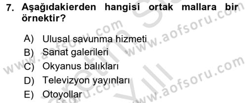 Doğal Kaynaklar ve Çevre Ekonomisi Dersi 2021 - 2022 Yılı Yaz Okulu Sınav Soruları 7. Soru