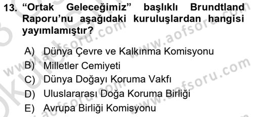 Doğal Kaynaklar ve Çevre Ekonomisi Dersi 2022 - 2023 Yılı Yaz Okulu Sınavı 13. Soru