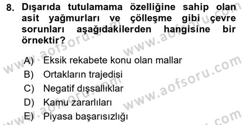 Doğal Kaynaklar ve Çevre Ekonomisi Dersi 2022 - 2023 Yılı Yaz Okulu Sınavı 8. Soru