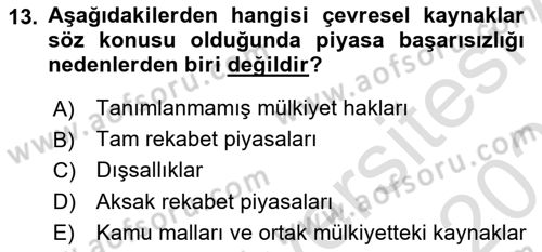 Doğal Kaynaklar ve Çevre Ekonomisi Dersi 2023 - 2024 Yılı (Vize) Ara Sınav Soruları 13. Soru