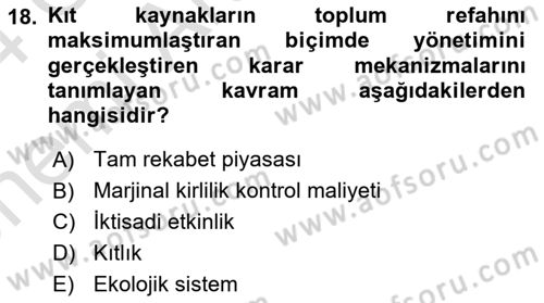 Doğal Kaynaklar ve Çevre Ekonomisi Dersi 2023 - 2024 Yılı (Vize) Ara Sınav Soruları 18. Soru