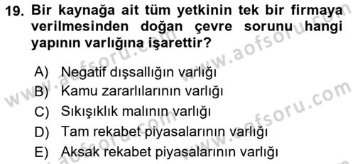 Doğal Kaynaklar ve Çevre Ekonomisi Dersi 2023 - 2024 Yılı (Vize) Ara Sınav Soruları 19. Soru