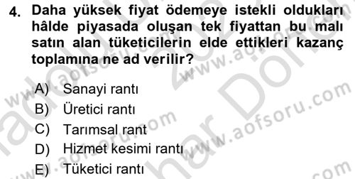 Doğal Kaynaklar ve Çevre Ekonomisi Dersi 2023 - 2024 Yılı (Final) Dönem Sonu Sınavı 4. Soru