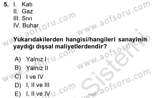 Doğal Kaynaklar ve Çevre Ekonomisi Dersi 2023 - 2024 Yılı Yaz Okulu Sınavı 5. Soru