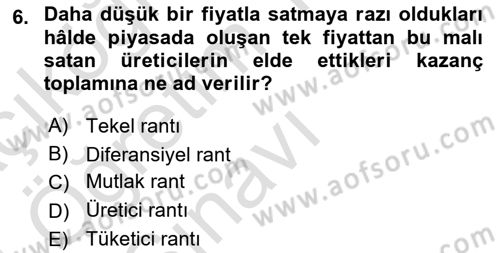 Doğal Kaynaklar ve Çevre Ekonomisi Dersi 2023 - 2024 Yılı Yaz Okulu Sınavı 6. Soru