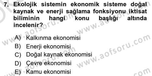 Doğal Kaynaklar ve Çevre Ekonomisi Dersi 2023 - 2024 Yılı Yaz Okulu Sınavı 7. Soru