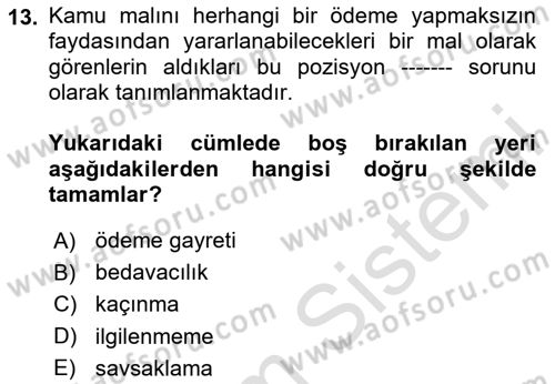 Doğal Kaynaklar ve Çevre Ekonomisi Dersi 2024 - 2025 Yılı (Vize) Ara Sınav Soruları 13. Soru