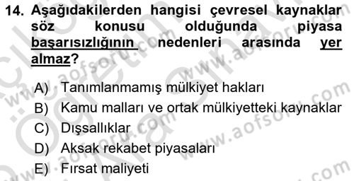 Doğal Kaynaklar ve Çevre Ekonomisi Dersi 2024 - 2025 Yılı (Vize) Ara Sınav Soruları 14. Soru