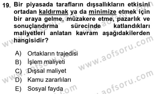 Doğal Kaynaklar ve Çevre Ekonomisi Dersi 2024 - 2025 Yılı (Vize) Ara Sınav Soruları 19. Soru