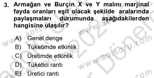 Doğal Kaynaklar ve Çevre Ekonomisi Dersi 2024 - 2025 Yılı (Final) Dönem Sonu Sınav Soruları 3. Soru