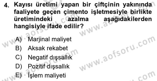 Doğal Kaynaklar ve Çevre Ekonomisi Dersi 2024 - 2025 Yılı (Final) Dönem Sonu Sınav Soruları 4. Soru