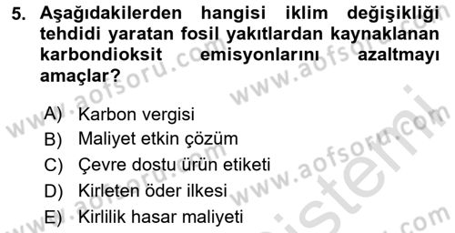 Doğal Kaynaklar ve Çevre Ekonomisi Dersi 2024 - 2025 Yılı (Final) Dönem Sonu Sınav Soruları 5. Soru