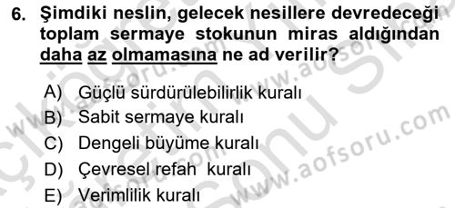 Doğal Kaynaklar ve Çevre Ekonomisi Dersi 2024 - 2025 Yılı (Final) Dönem Sonu Sınav Soruları 6. Soru