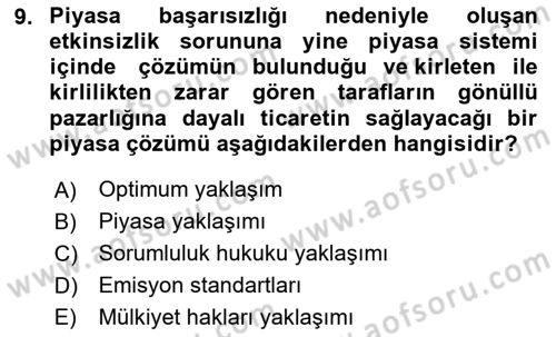 Doğal Kaynaklar ve Çevre Ekonomisi Dersi 2024 - 2025 Yılı (Final) Dönem Sonu Sınav Soruları 9. Soru