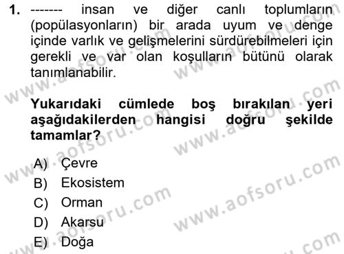 Doğal Kaynaklar ve Çevre Ekonomisi Dersi 2024 - 2025 Yılı Yaz Okulu Sınav Soruları 1. Soru