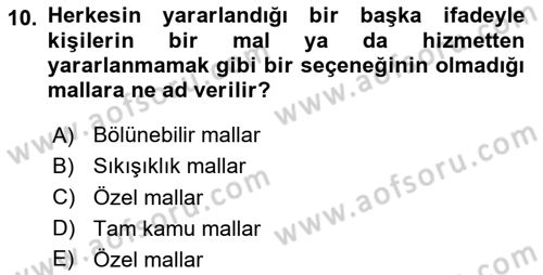 Doğal Kaynaklar ve Çevre Ekonomisi Dersi 2024 - 2025 Yılı Yaz Okulu Sınav Soruları 10. Soru