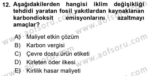 Doğal Kaynaklar ve Çevre Ekonomisi Dersi 2024 - 2025 Yılı Yaz Okulu Sınav Soruları 12. Soru