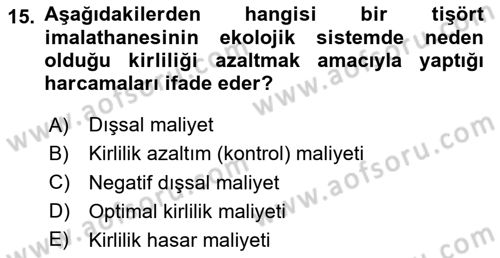 Doğal Kaynaklar ve Çevre Ekonomisi Dersi 2024 - 2025 Yılı Yaz Okulu Sınav Soruları 15. Soru