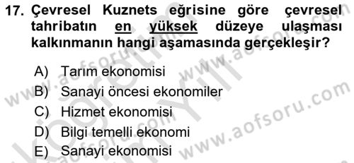 Doğal Kaynaklar ve Çevre Ekonomisi Dersi 2024 - 2025 Yılı Yaz Okulu Sınav Soruları 17. Soru