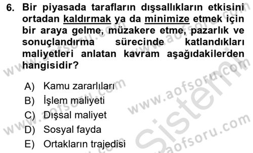 Doğal Kaynaklar ve Çevre Ekonomisi Dersi 2024 - 2025 Yılı Yaz Okulu Sınav Soruları 6. Soru