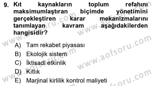 Doğal Kaynaklar ve Çevre Ekonomisi Dersi 2024 - 2025 Yılı Yaz Okulu Sınav Soruları 9. Soru