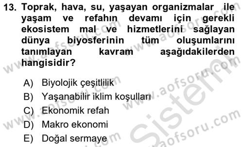 Doğal Kaynaklar ve Çevre Ekonomisi Dersi 2025 - 2026 Yılı (Final) Dönem Sonu Sınav Soruları 13. Soru