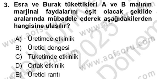 Doğal Kaynaklar ve Çevre Ekonomisi Dersi 2025 - 2026 Yılı (Final) Dönem Sonu Sınav Soruları 3. Soru