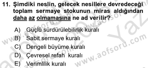 Doğal Kaynaklar ve Çevre Ekonomisi Dersi 2025 - 2026 Yılı Yaz Okulu Sınav Soruları 11. Soru