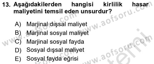 Doğal Kaynaklar ve Çevre Ekonomisi Dersi 2025 - 2026 Yılı Yaz Okulu Sınav Soruları 13. Soru