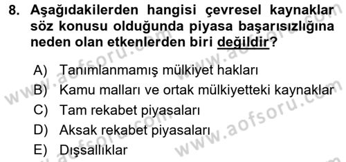 Doğal Kaynaklar ve Çevre Ekonomisi Dersi 2025 - 2026 Yılı Yaz Okulu Sınav Soruları 8. Soru