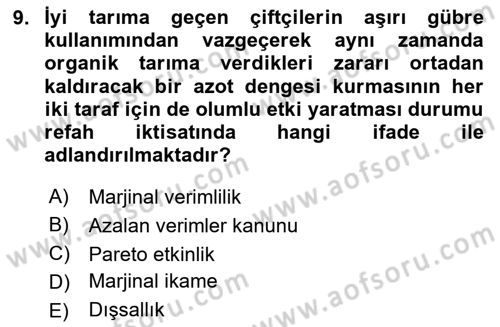 Doğal Kaynaklar ve Çevre Ekonomisi Dersi 2025 - 2026 Yılı Yaz Okulu Sınav Soruları 9. Soru
