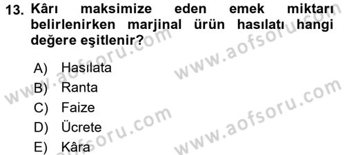 Mikro İktisat Dersi 2016 - 2017 Yılı (Final) Dönem Sonu Sınav Soruları 13. Soru