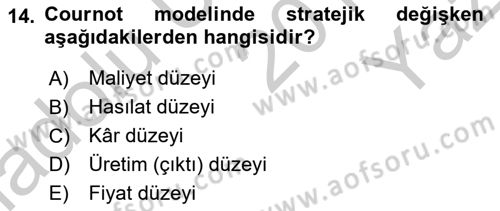 Mikro İktisat Dersi 2018 - 2019 Yılı Yaz Okulu Sınav Soruları 14. Soru
