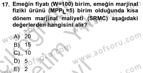 Mikro İktisat Dersi 2018 - 2019 Yılı Yaz Okulu Sınav Soruları 17. Soru