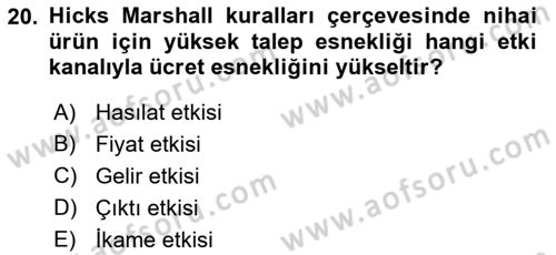 Mikro İktisat Dersi 2018 - 2019 Yılı Yaz Okulu Sınav Soruları 20. Soru