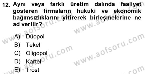 Mikro İktisat Dersi 2019 - 2020 Yılı (Final) Dönem Sonu Sınav Soruları 12. Soru