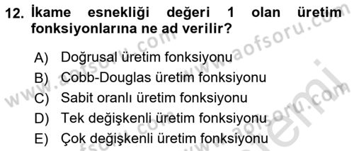 Mikro İktisat Dersi 2021 - 2022 Yılı (Vize) Ara Sınavı 12. Soru