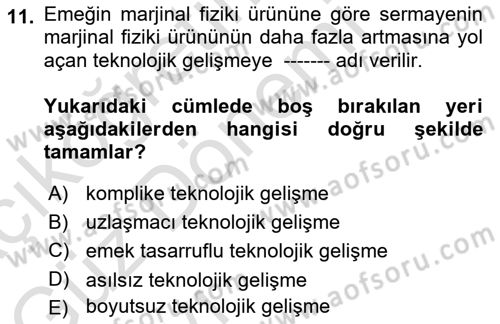 Mikro İktisat Dersi 2022 - 2023 Yılı (Vize) Ara Sınavı 11. Soru