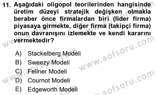 Mikro İktisat Dersi 2022 - 2023 Yılı Yaz Okulu Sınavı 11. Soru