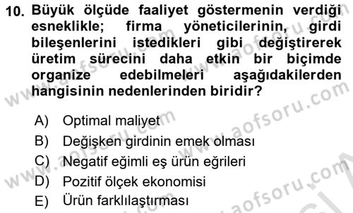 Mikro İktisat Dersi 2023 - 2024 Yılı Yaz Okulu Sınav Soruları 10. Soru