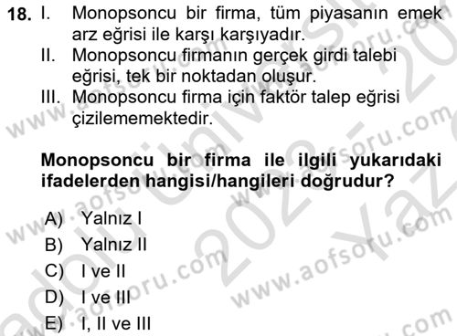 Mikro İktisat Dersi 2023 - 2024 Yılı Yaz Okulu Sınav Soruları 18. Soru