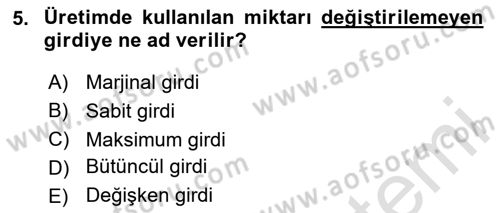 Mikro İktisat Dersi 2023 - 2024 Yılı Yaz Okulu Sınav Soruları 5. Soru