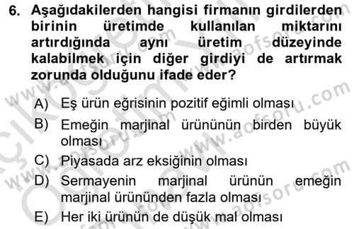Mikro İktisat Dersi 2023 - 2024 Yılı Yaz Okulu Sınav Soruları 6. Soru