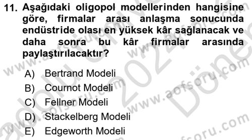 Mikro İktisat Dersi 2024 - 2025 Yılı (Final) Dönem Sonu Sınav Soruları 11. Soru