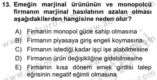 Mikro İktisat Dersi 2024 - 2025 Yılı (Final) Dönem Sonu Sınav Soruları 13. Soru