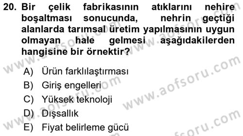 Mikro İktisat Dersi 2024 - 2025 Yılı (Final) Dönem Sonu Sınav Soruları 20. Soru