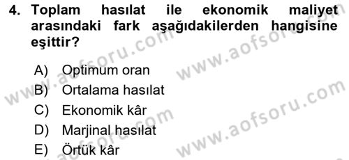 Mikro İktisat Dersi 2024 - 2025 Yılı (Final) Dönem Sonu Sınav Soruları 4. Soru